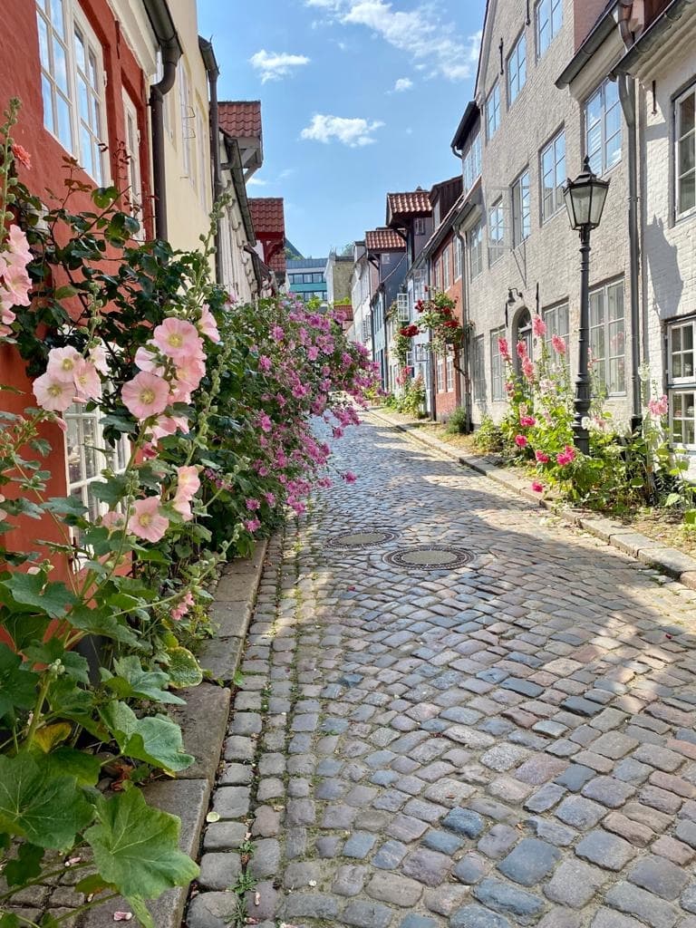 Gepflasterte Gasse mit blühenden Stockrosen